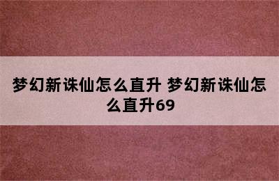 梦幻新诛仙怎么直升 梦幻新诛仙怎么直升69